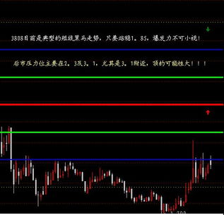 请问我的前沿观察股票论坛要怎么确定关键词呢？