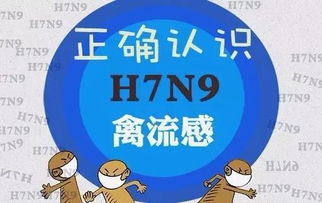 h7n9预防措施(H7N9怎么预防H7N9防控措施有哪些)