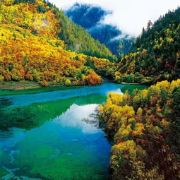 荐私藏 这11处国内最美秋色,湖北仅1处,是时候该去看看啦 