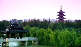 苏州拙政园 寒山寺 山塘街 虎丘纯玩一日体验 赠送游船