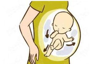 从胎动看男孩女孩 从胎动可以看出宝宝性别吗