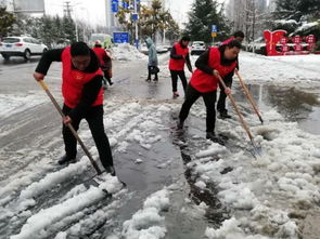 市城投集团积极开展扫雪锄雪志愿服务活动
