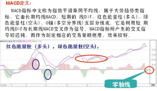 今年股市会涨吗