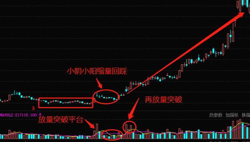 我现在买点股票玩玩，不知该如何下手，一点头绪都没有，哪位前辈能赐教下？谢啦…