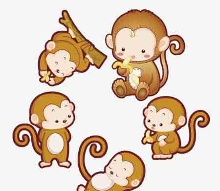 属猴的今年多大,属猴的几月出生最好,属猴的和什么属相配 