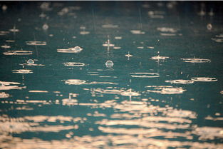 一个人时而喜欢烈日，时而喜欢下雨，时而又喜欢大风，这种天气心理学层面上分析是怎样一种心理波动