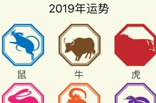 2019年运势差到极点的生肖