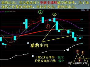 期货难做吗？我是新手