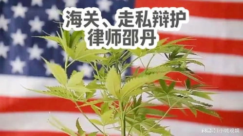 外国香烟专卖网_外国香烟批发网 - 2 - 680860香烟网