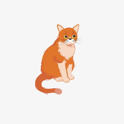 卡通手绘可爱的橘猫免抠图图片素材 其他格式 下载 动漫人物大全 