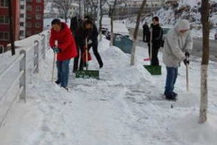 做梦梦见清理雪推是什么意思 周公解梦 