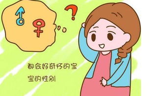 原创身体呈现碱性环境是否容易生男孩呢？