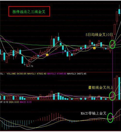 股市中，跌了几个点才算跌停，长了几个点才算涨停。