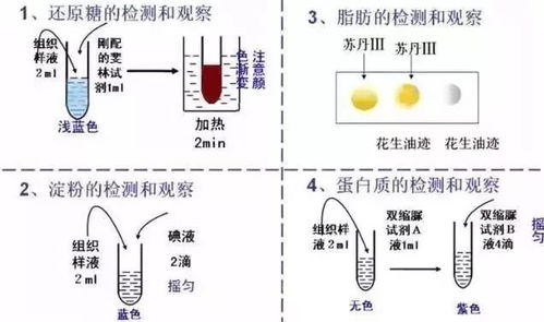 高考出题人 生物实验题无非就考这16种,吃透,单科状元就是你 