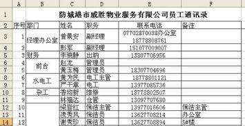 水平有限,无法清楚说明问题,请高手看图,表格类的 