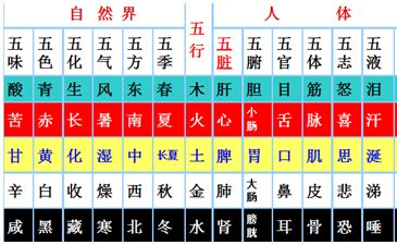 骐名字五行属什么（骐字五行属性是什么）