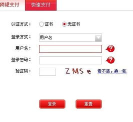 中国 中信网络 是哪家的啊？怎么以前没有听说过啊？