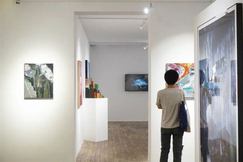 N种拍照姿势,刷遍画廊周北京所有艺术展