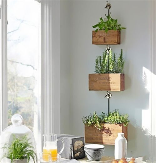 盆栽 种 墙上 8款DIY绿植背景墙设计