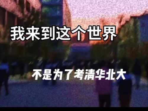 励志语网红—陈e哥经典语录？