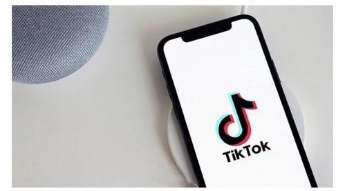 为什么要在TikTok上做广告_tiktok美国账号购买