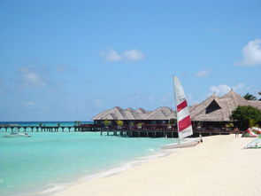 马尔代夫两岛旅游浪漫游记的美好体验（马尔代夫游记精选）