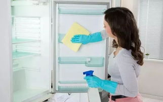 冰箱要定期清洁不清洁会危害身体健康