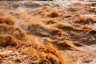 山东汛期黄河防汛形势严峻 将投入14亿元强化防洪工程建设 
