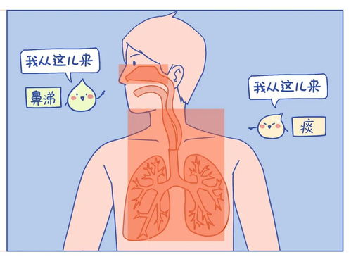 为什么财运好的人身体不好