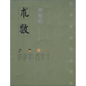 中华神秘文化书系 神秘的术数 中国算命术研究与批判 修订版 9787219028575