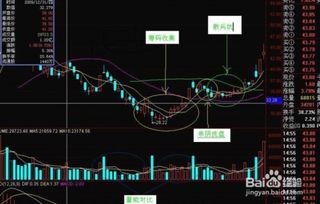 怎样才能快数学会炒股？