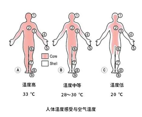 水的传热性能为什么比空气好？急！！！