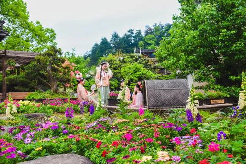 长沙花卉景点推荐 长沙花卉景点推荐(长沙紫星园小区免费停车场)