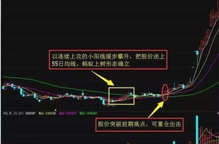 股票收吊顶小阳线预示着什么？