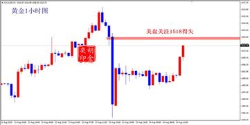 胡金奕 8.14黄金上涨仍是趋势 晚间黄金如何布局,附解套