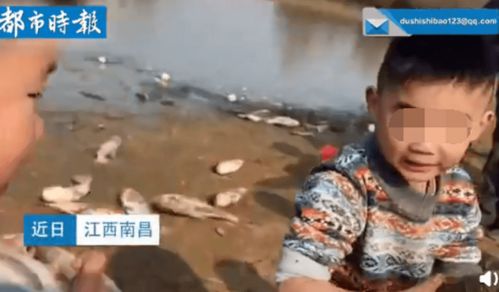 小男孩捕鱼却被鱼偷亲了一口,回来央求家人删视频 怕找不到老婆