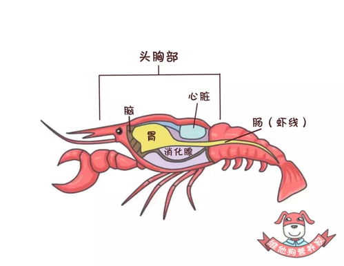 有了解长园深瑞的大虾吗???就是李嘉诚旗下的那个。我想了解一下。谢谢