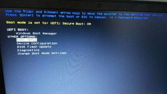 戴尔笔记本每次开机都要按f12然后选择这个选项才能开机