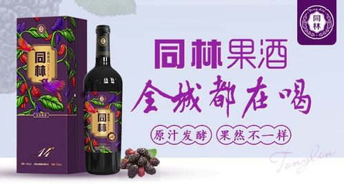 桑葚酒什么牌子好  第1张