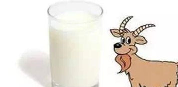牛奶和羊奶哪个营养价值高,经常喝有哪些好处