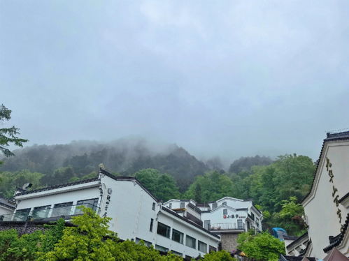 大愿许愿地,最灵九华山 