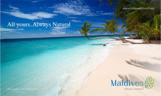 马尔代夫旅游logo设计让你的品牌脱颖而出