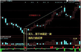 买入价格是39.21为什么成本显示是39.331？