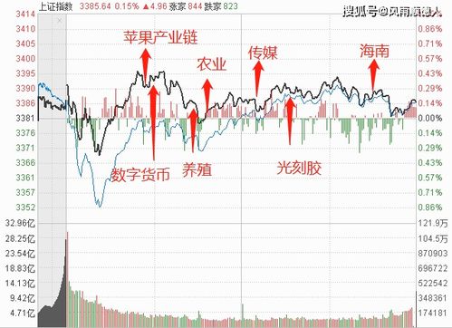 怎么知道自己是否已经开通创业板交易