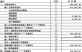 新开的企业利润亏损在年底该怎么结帐呀