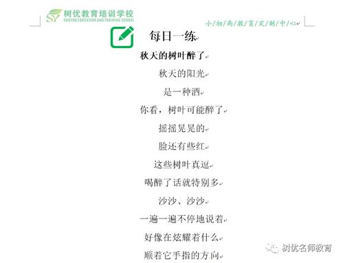 树优教育语文20191230期每日一练