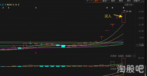 为什么股票要坚持每年或每月支出一定的金额才赚钱？