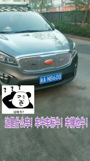 这是什么车,车牛车标牛,车牌也牛 