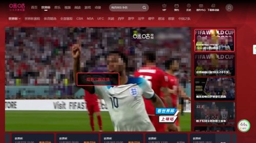 2022世界杯官方回放在哪个软件看 卡塔尔世界杯回放观看频道 