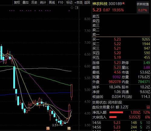 300485是什么行业龙头股票